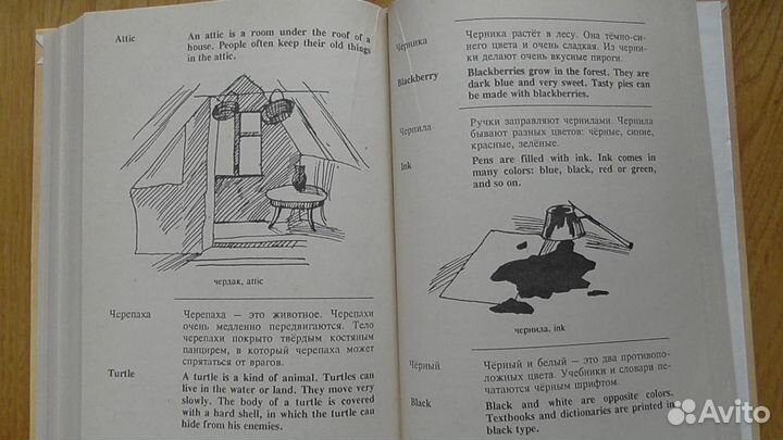 Детский русско-английский словарь в картинках