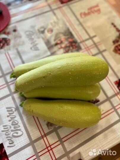 Кабачки домашние