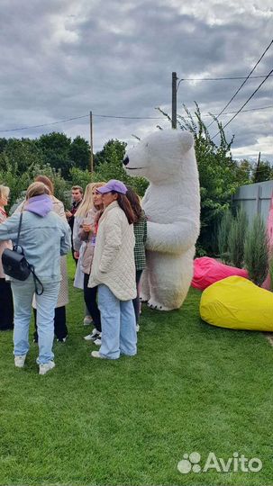 Большая белая мишка. Экспресс поздравление