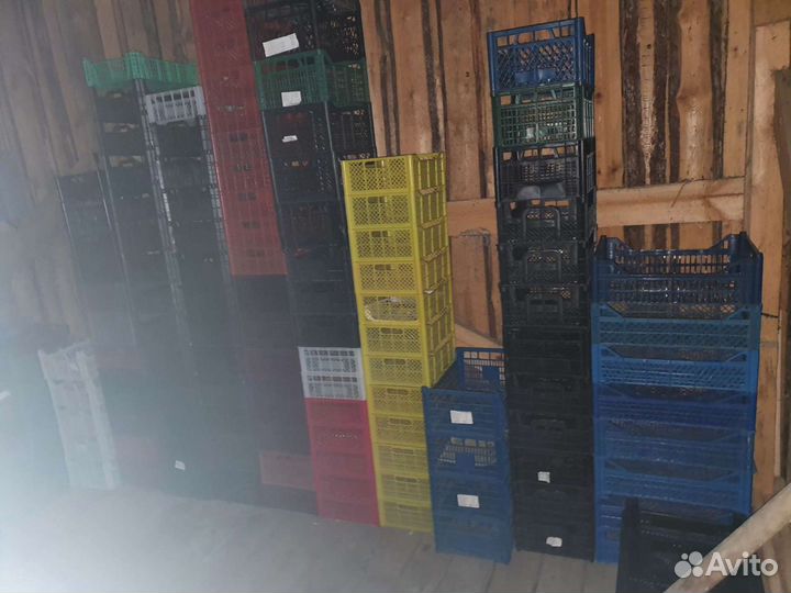 Пластиковые ящики для овощей, ягод и грибов