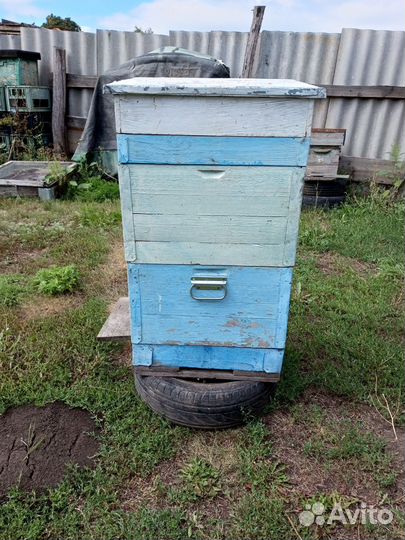 Улей10ти рамочный