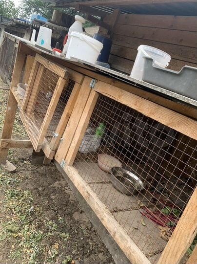 Дом 50 м² на участке 60 сот.