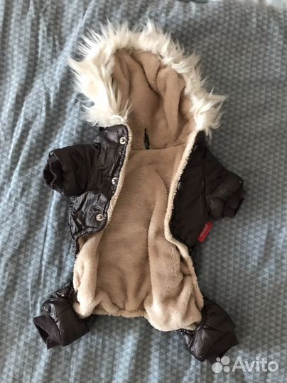 Одежда для маленьких собак