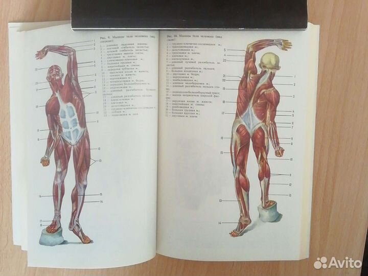 Спорт, единоборства, цены в профиле