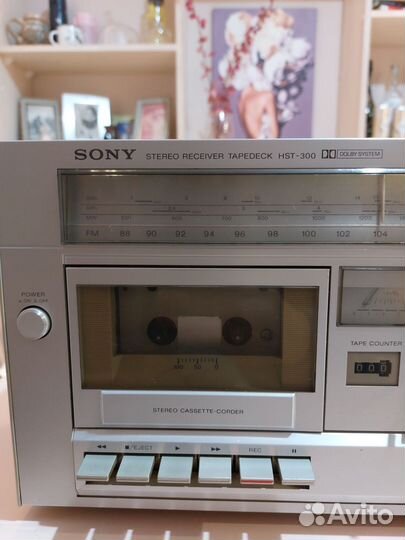 Sony Hst-300