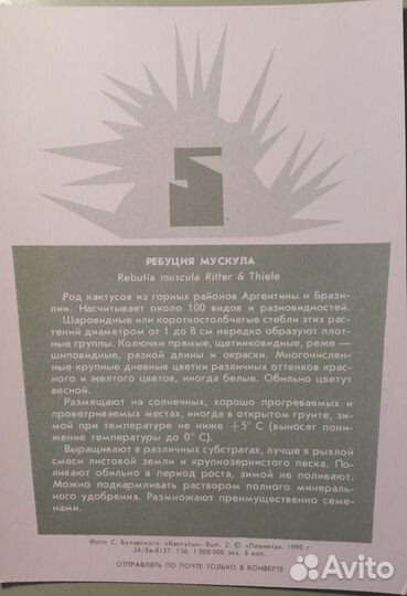 Набор открыток 