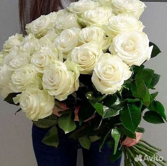 101 роза цветы букеты доставка 25 51 101 роза