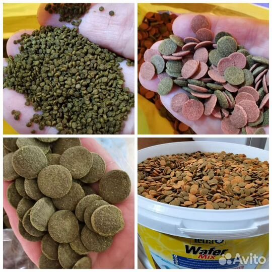 Фирменные Корма для рыб, на вес. Tetra, Sera, JBL