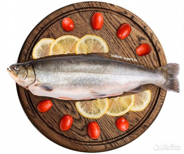 Голец с доставкой замороженный