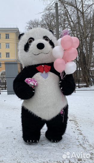 Белый мишка поздравление, Панда, медведь чебурашка