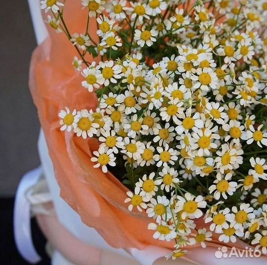 Доставка цветов. Ромашки
