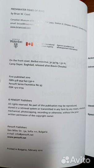 Freshwater Fishes of Iraq