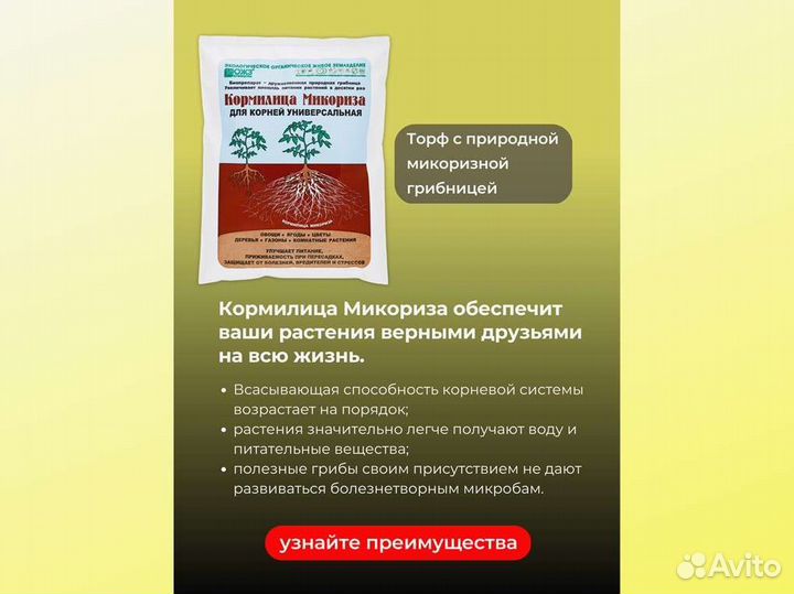 Кормилица Микориза