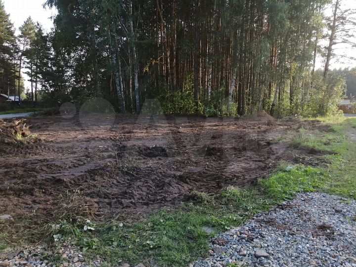 Участок 6,2 сот. (СНТ, ДНП)