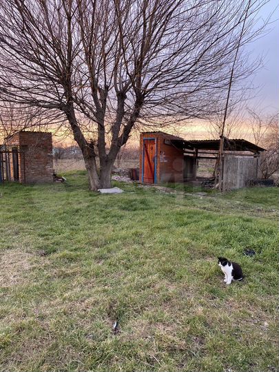 Дом 36,8 м² на участке 23 сот.