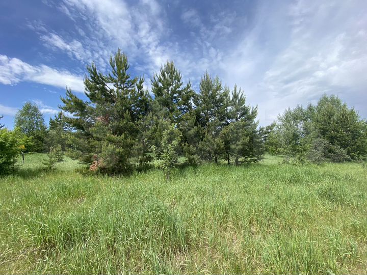 Участок 16 сот. (СНТ, ДНП)