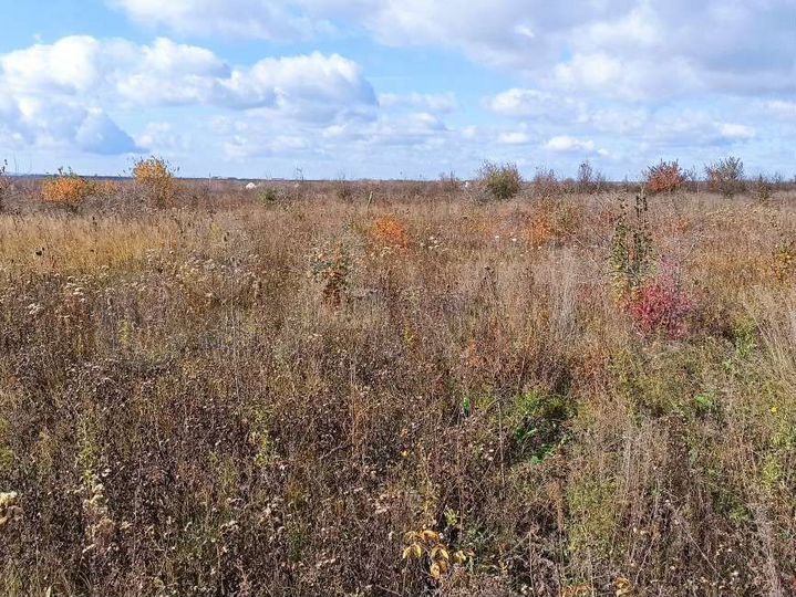 Участок 5,3 сот. (ИЖС)