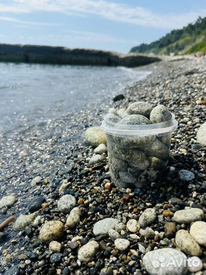 Галька черного моря