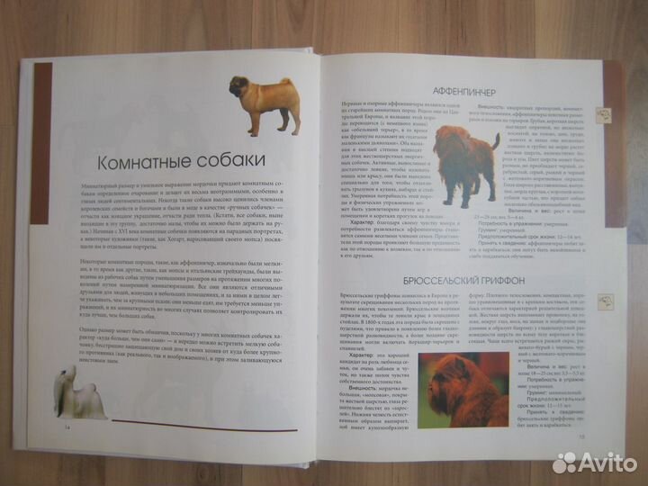 Книга Собака ваш лучший друг