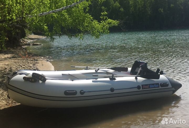 Лодка рrofmarine PM 400 AIR MAX