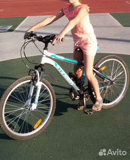 Велосипед Stinger Caiman