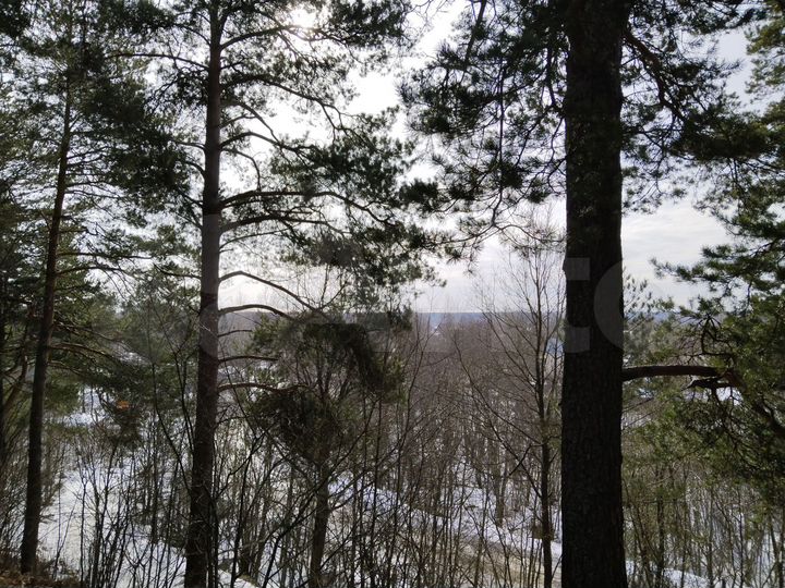 Участок 40 сот. (СНТ, ДНП)