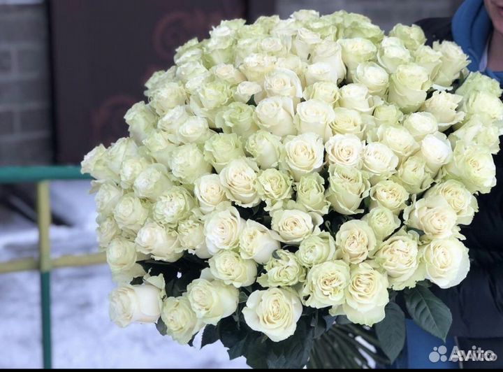 Розы опт Эквадор