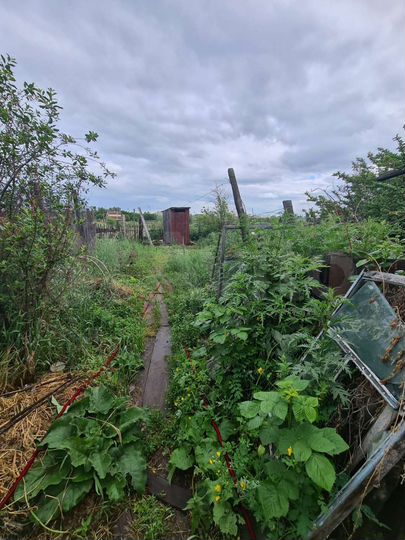 Дом 80 м² на участке 12 сот.