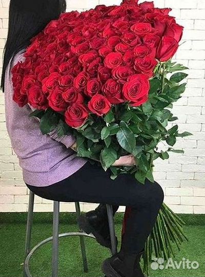 Розы Высокие 150см 160см 170см 180см 190см 2м