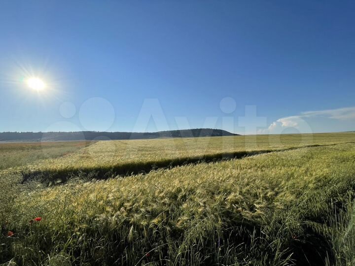 Участок 6 га (СНТ, ДНП)