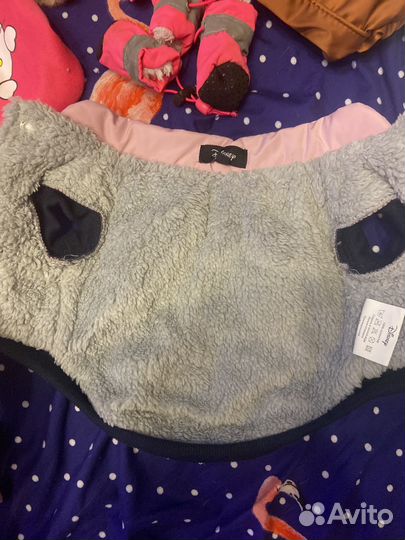 Одежда для маленьких собак