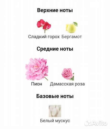 Miss Dior Blooming Bouquet 100ml