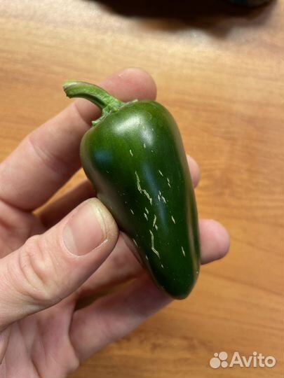 Семена перца халапеньо 200 шт