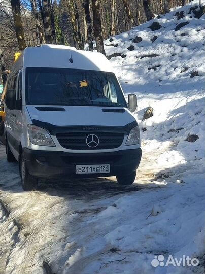 Аренда автобуса трансфер перевозка пассажиров экск