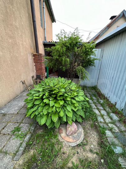 Дом 64 м² на участке 3,6 сот.