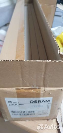 Лампа люминесцентная Osram T8 G13