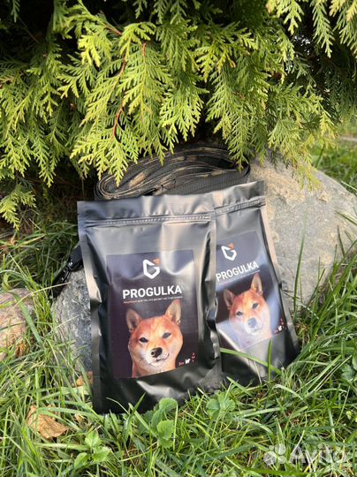 Поводок для собак