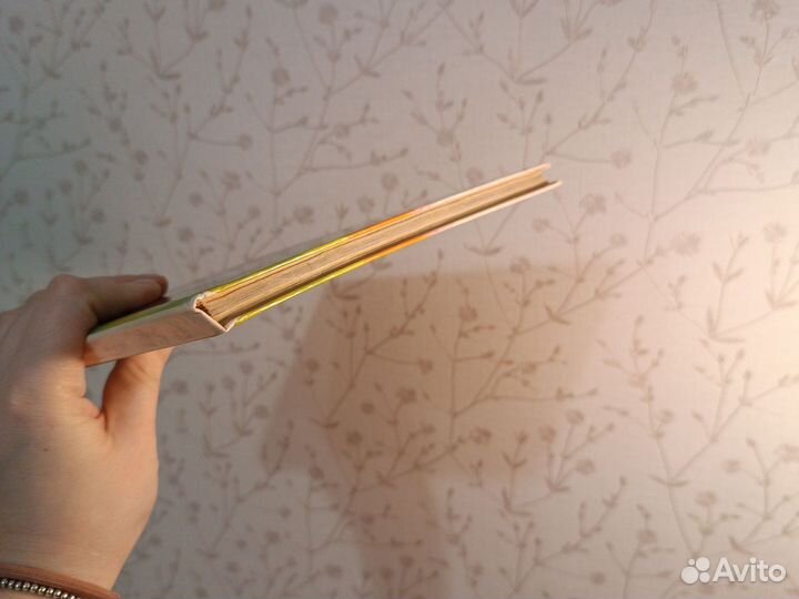 Эдвард Лир. Прогулка верхом