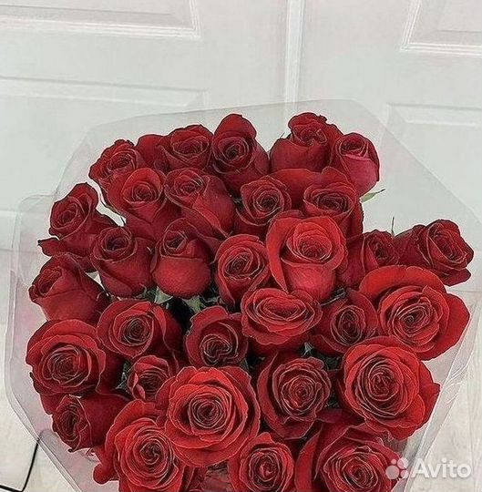 Розы Букеты Цветы Розы 31 101 151 201 Доставка