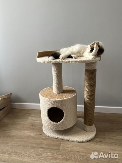 Домик для кошки большой