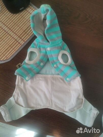 Одежда для собак