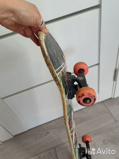 Скейтборд TechTeam X-Game Эдем