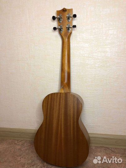 Укулеле flight концерт