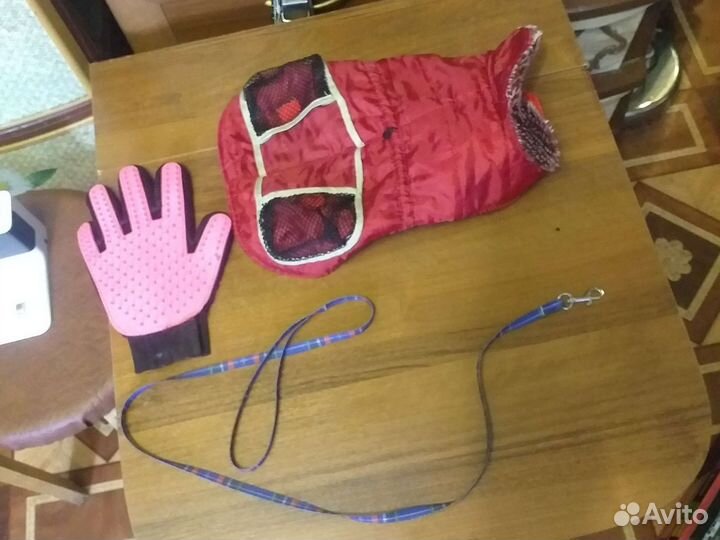 Снаряжение для маленькой собачки