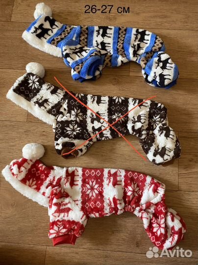 Одежда для собак мелких пород