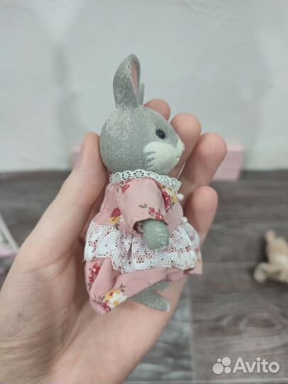 Зайчик сильвания до 2005 года