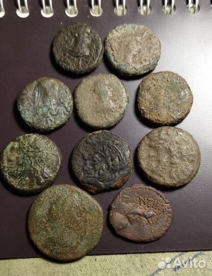 Античные монеты. Пантикапей