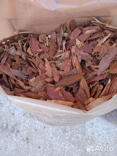 Кора лиственницы