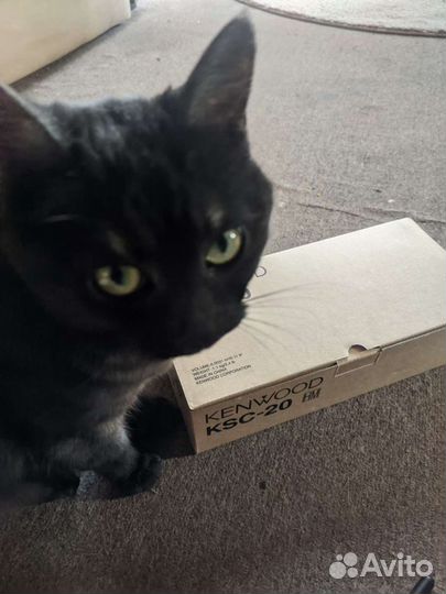 Kenwood KSC-20 (KNB-16; KNB-17)