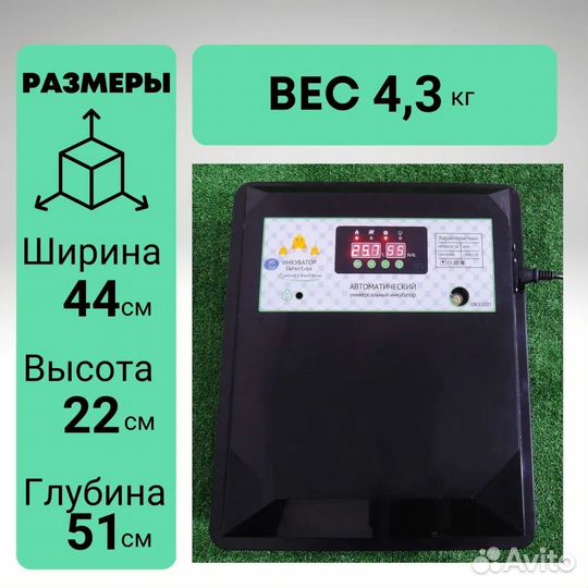 Инкубатор на 64 куриных яиц